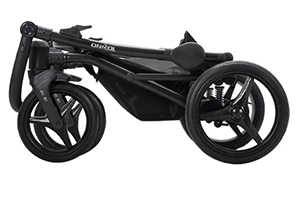 carucior 2 in 1 pentru copii