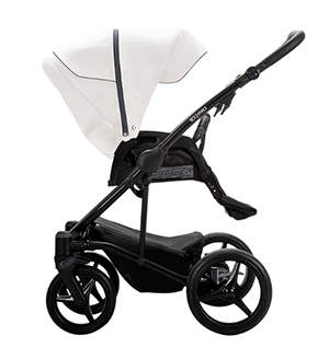 carucior 2 in 1 pentru copii