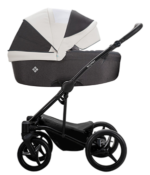 carucior 2 in 1 pentru copii