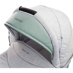 carucior 2 in 1 pentru copii