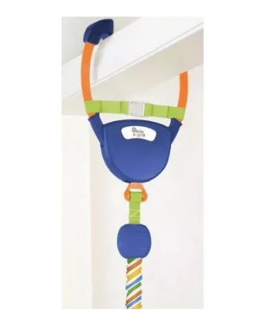 Jumper pentru usa Baby Einstein Sea and Discover