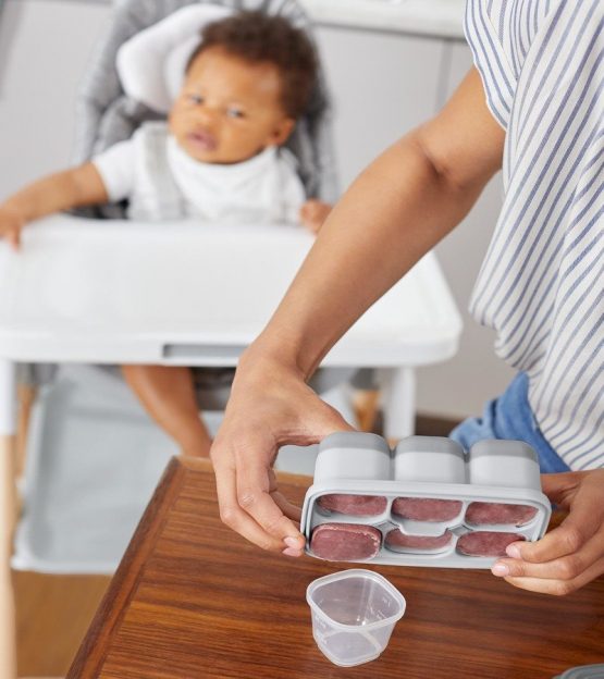 Recipiente pentru congelare Skip Hop Gri Turcoaz