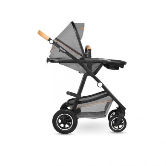 carucior 2 in 1 pentru copii