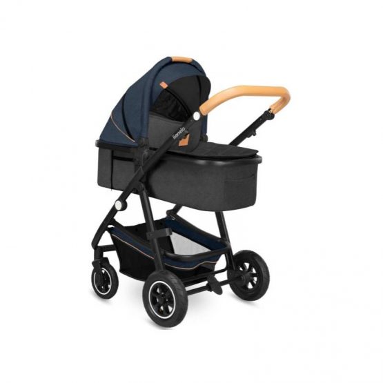 carucior 2 in 1 pentru copii