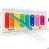 Jucarie muzicala Hape & Baby Einstein Magic Touch Xylophone