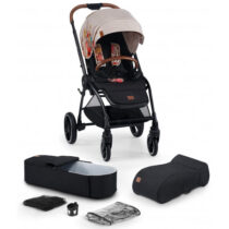 carucior 2 in 1 pentru copii