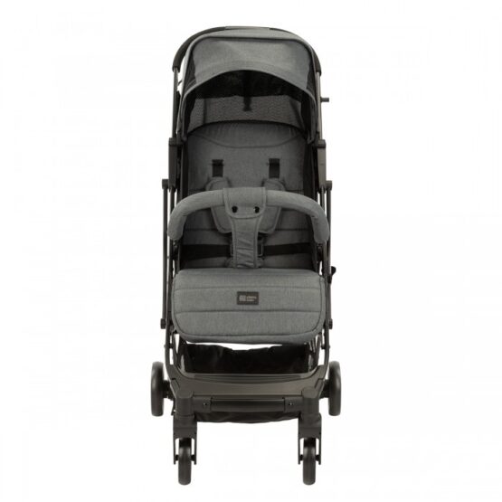 carucior pentru copii