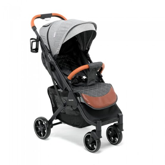 carucior pentru copii