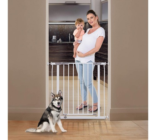 Porțile de siguranță