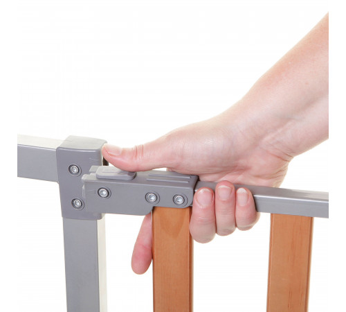 Porțile de siguranță