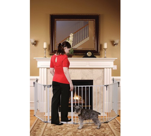 Porțile de siguranță