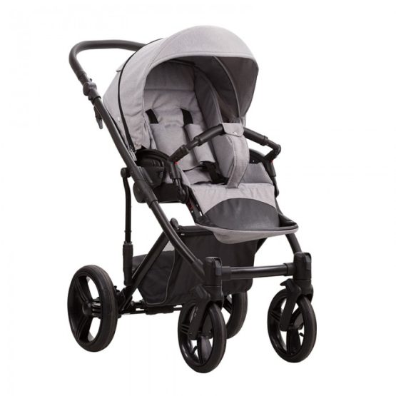 carucior 2 in 1 pentru copii