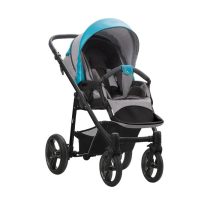 carucior 2 in 1 pentru copii