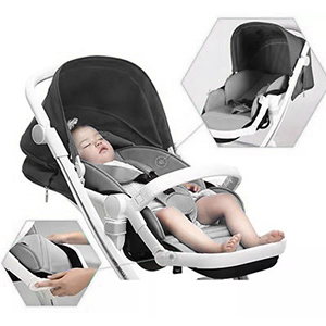 carucior 2 in 1 pentru copii