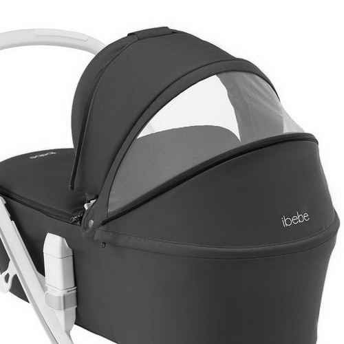 carucior 2 in 1 pentru copii