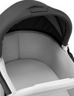 carucior 2 in 1 pentru copii