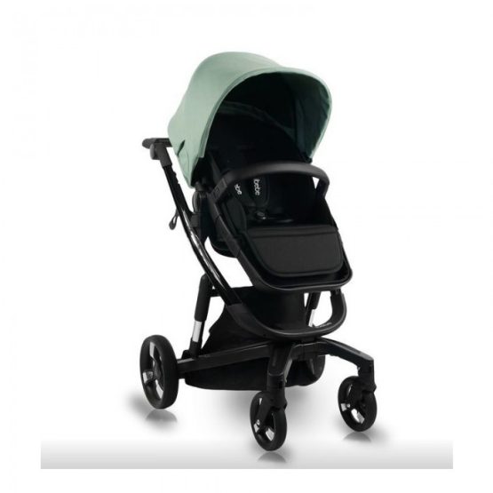 carucior 2 in 1 pentru copii