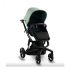 carucior 2 in 1 pentru copii