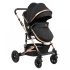 carucior 3 in 1 pentru copii
