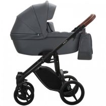 carucior 2 in 1 pentru copii