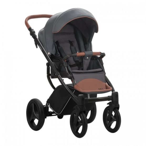 carucior 2 in 1 pentru copii