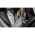 scaun auto 9-36 kg pentru copii