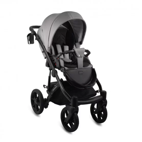 carucior 2 in 1 pentru copii