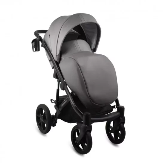 carucior 2 in 1 pentru copii