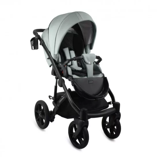 carucior 2 in 1 pentru copii