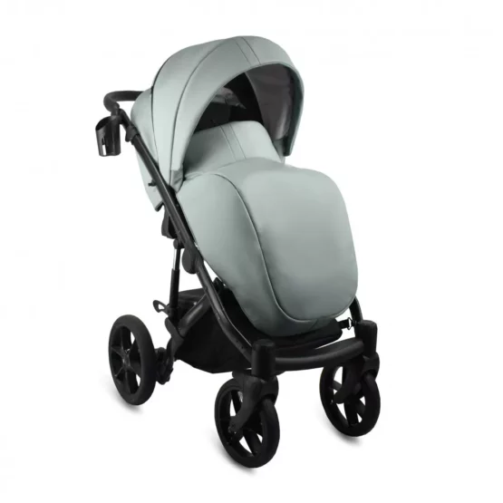 carucior 2 in 1 pentru copii