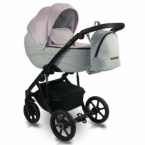 carucior 2 in 1 pentru copii