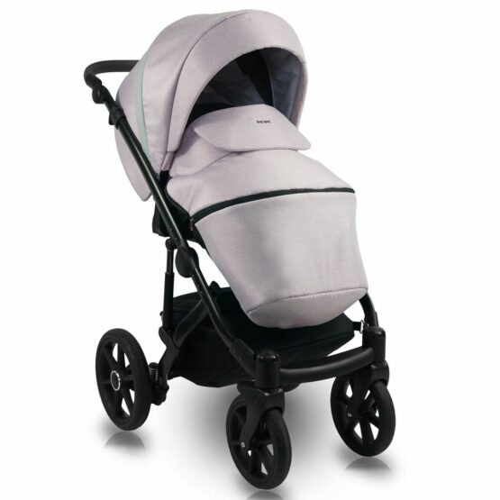 carucior 2 in 1 pentru copii