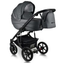 carucior 2 in 1 pentru copii