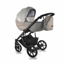 carucior 2 in 1 pentru copii