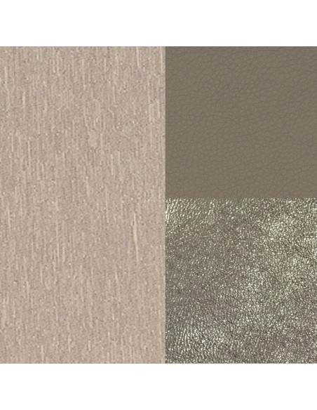 carucior 2 in 1 pentru copii