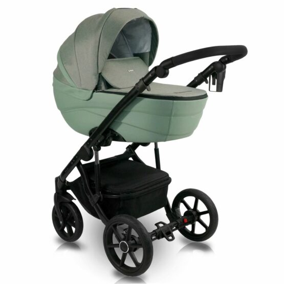 carucior 2 in 1 pentru copii