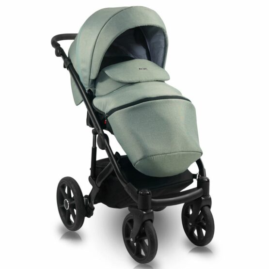 carucior 2 in 1 pentru copii