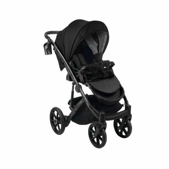 carucior 2 in 1 pentru copii