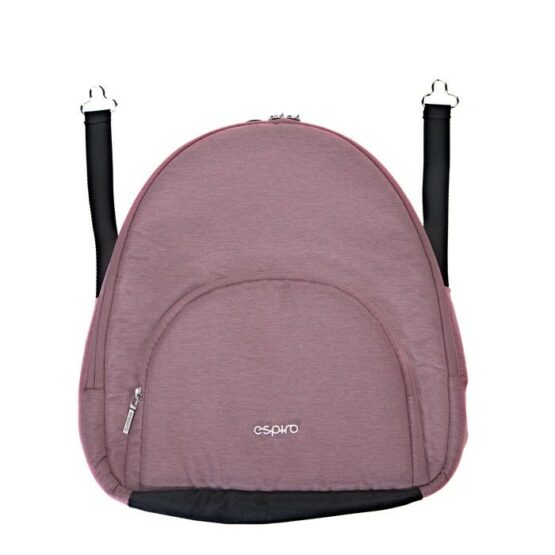 carucior 2 in 1 pentru copii