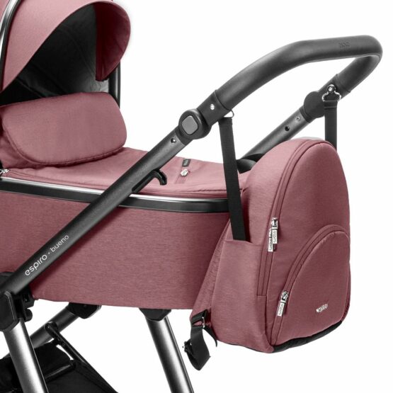 carucior 2 in 1 pentru copii