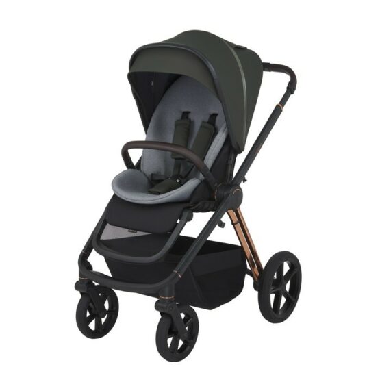 carucior 2 in 1 pentru copii