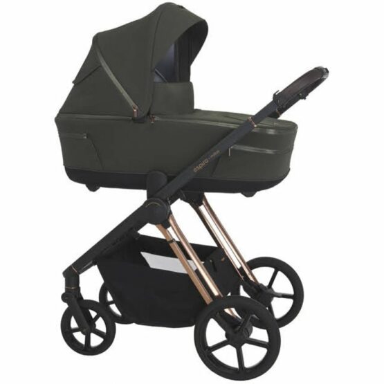 carucior 2 in 1 pentru copii