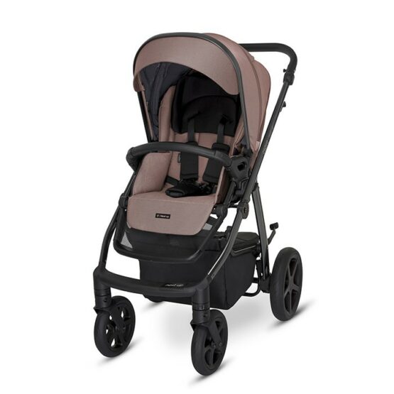 carucior 2 in 1 pentru copii