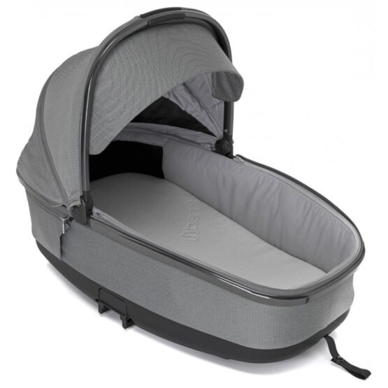 carucior 2 in 1 pentru copii