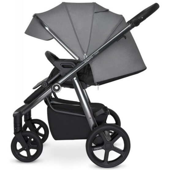 carucior 2 in 1 pentru copii