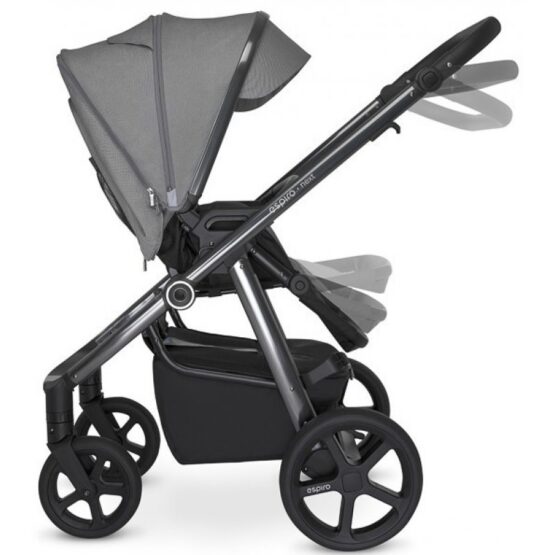 carucior 2 in 1 pentru copii