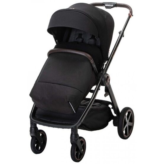 carucior 2 in 1 pentru copii