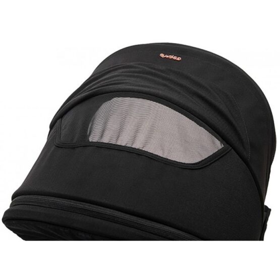 carucior 2 in 1 pentru copii