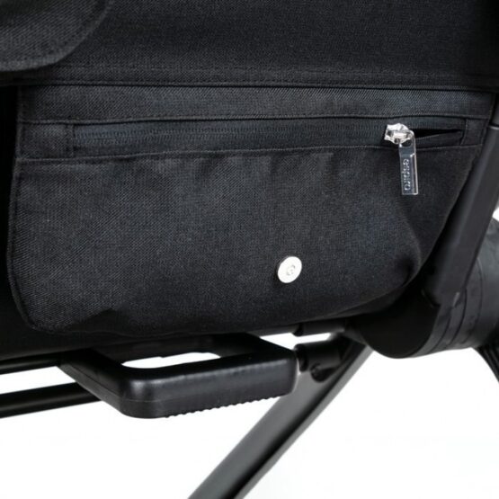 carucior 2 in 1 pentru copii