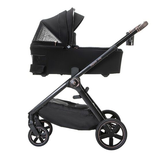 carucior 2 in 1 pentru copii